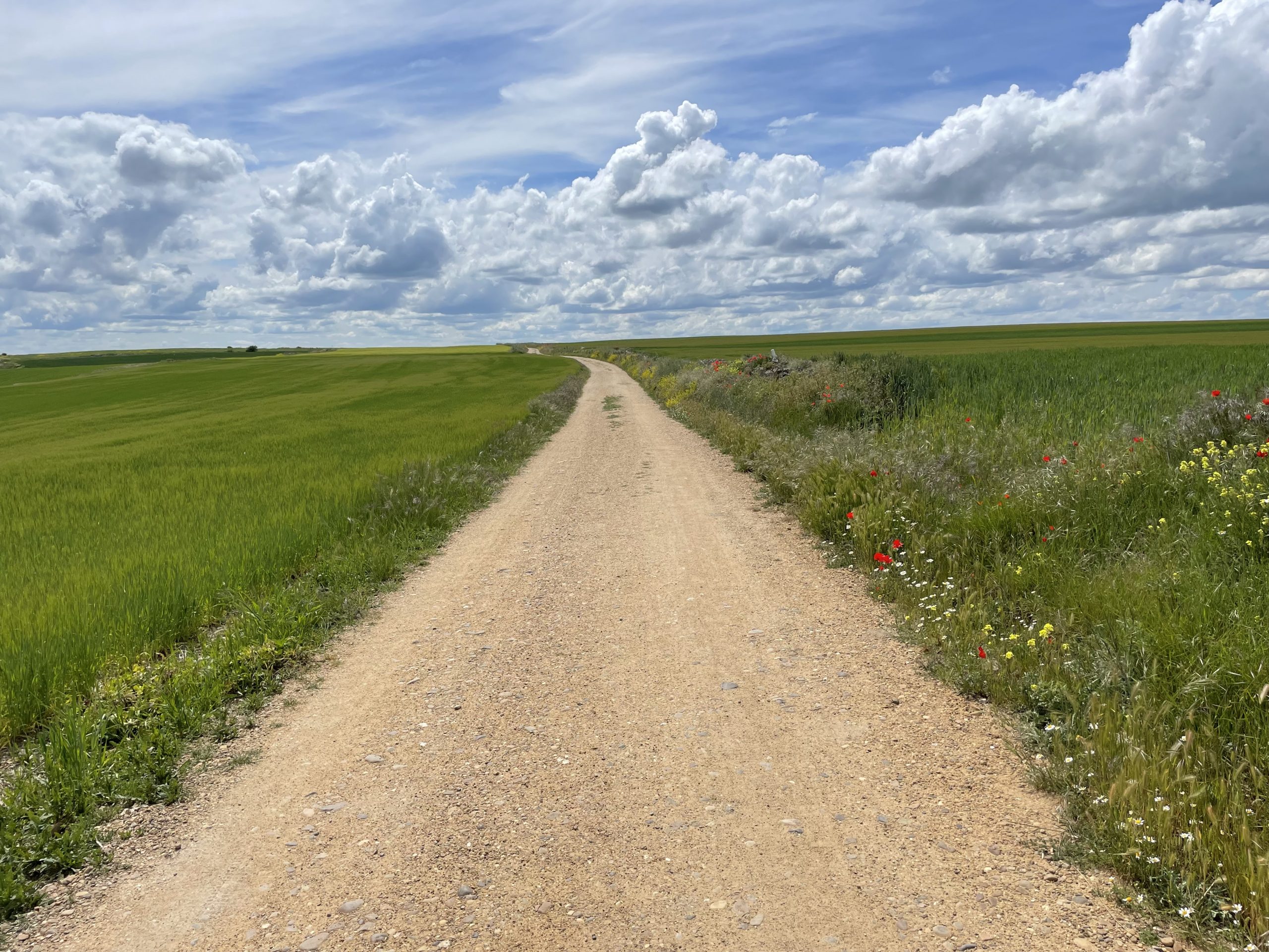 26.Mai: In the middle of nowhere